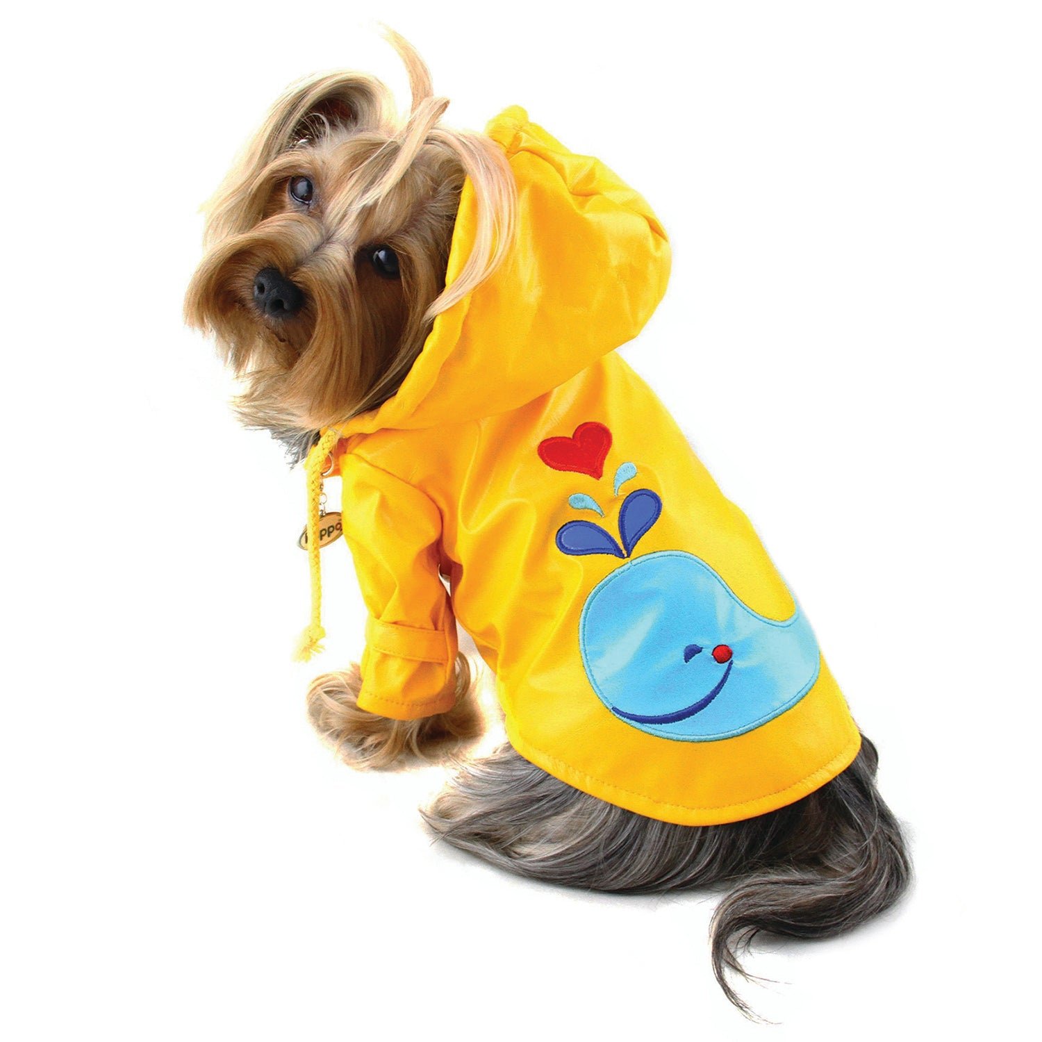 Splashing Whale Raincoat with Cotton Lining (Color: Green, size: XL)