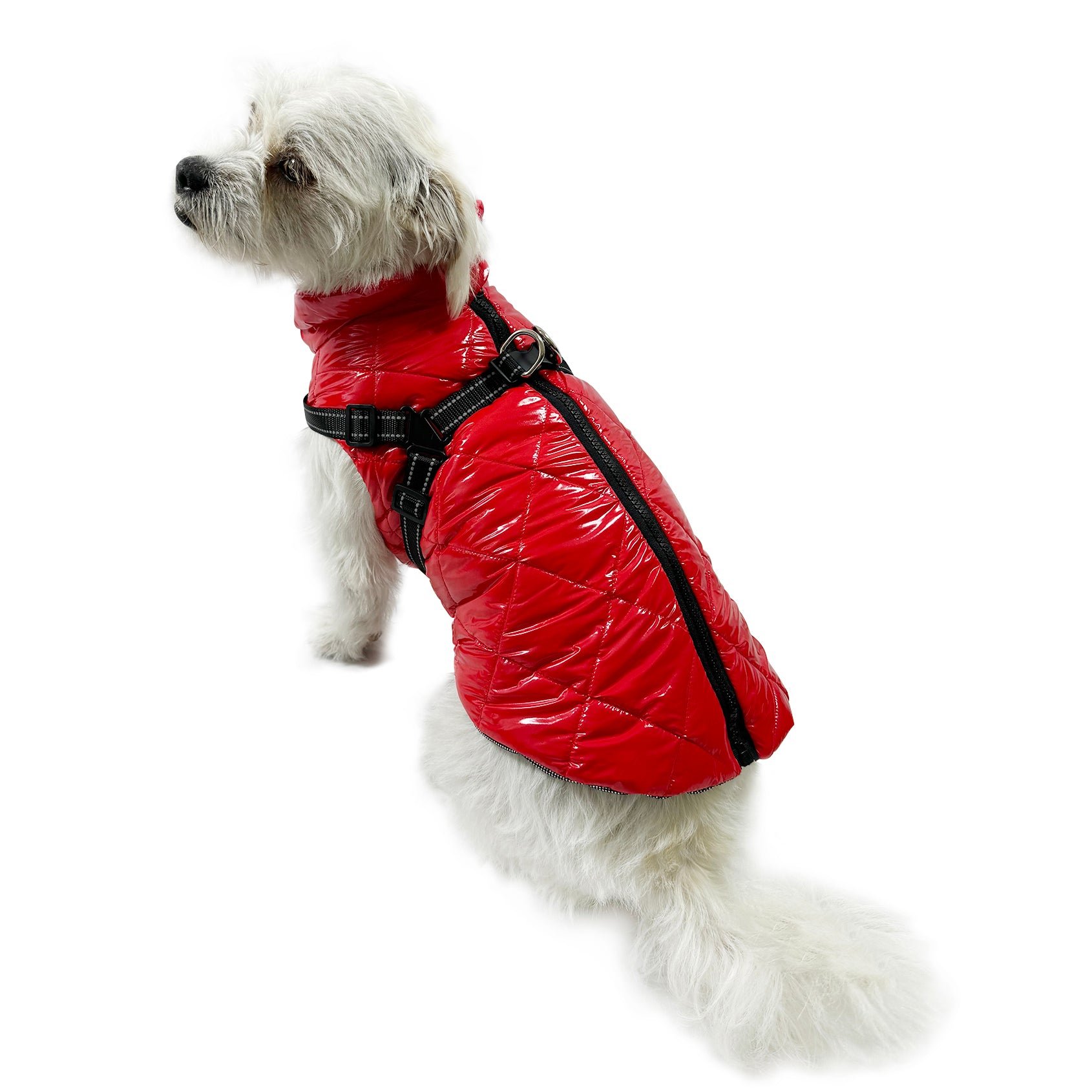Water Resistant Puffy Vest with Built (Color: Orange, size: XL)
