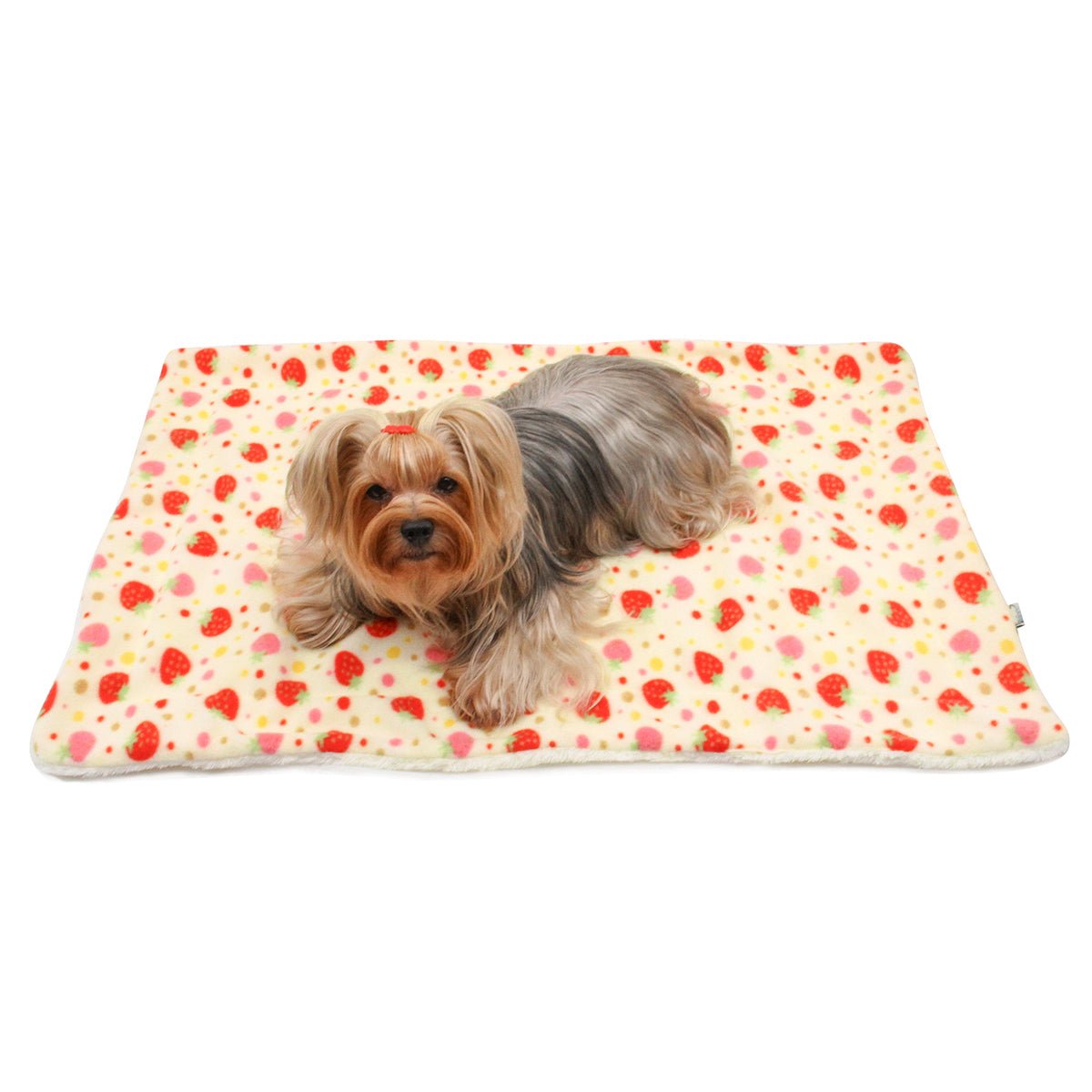 Yummy Strawberry Fleece/Plush Blanket (Color: Green, size: One Size)