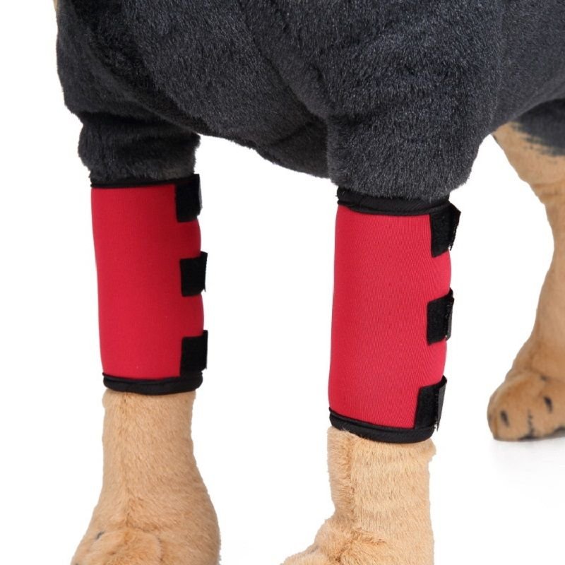 Pet Front Leg Brace Dog Leg Compression Wrap Canine Joint Pain Protection Sleeve with Reflectorize Strip Pet Front Leg Brace Dog Leg Compression Wrap Canine Joint Pain Protection Sleeve with Reflectorize Strip